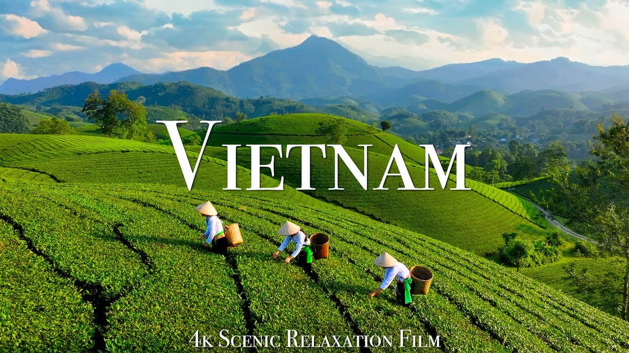 Preview frame from the selected Vietnamese SOUND film